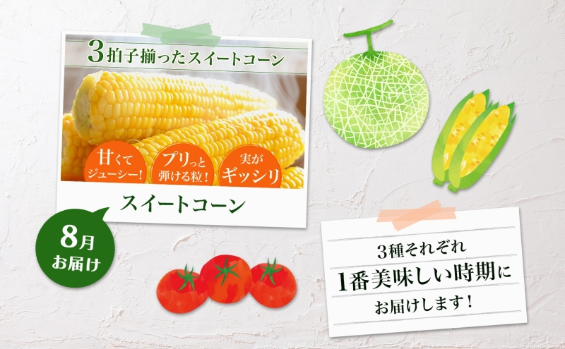 【2026年発送】 美深の旬の夏野菜3種 （フルーツトマト・メロン・とうもろこし） 夏 野菜 旬 甘い 濃厚 果物 フルーツ 高糖度 新鮮 朝採れ もぎたて 産地直送 北海道 美深町