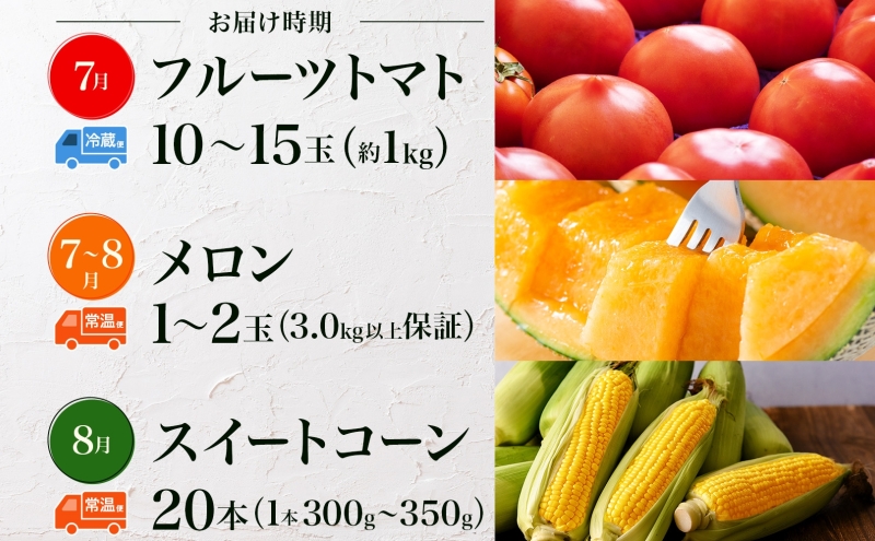 【2025年発送】 美深の旬の夏野菜3種 （フルーツトマト・メロン・とうもろこし） 夏 野菜 旬 甘い 濃厚 果物 フルーツ 高糖度 新鮮 朝採れ もぎたて 産地直送 北海道 美深町