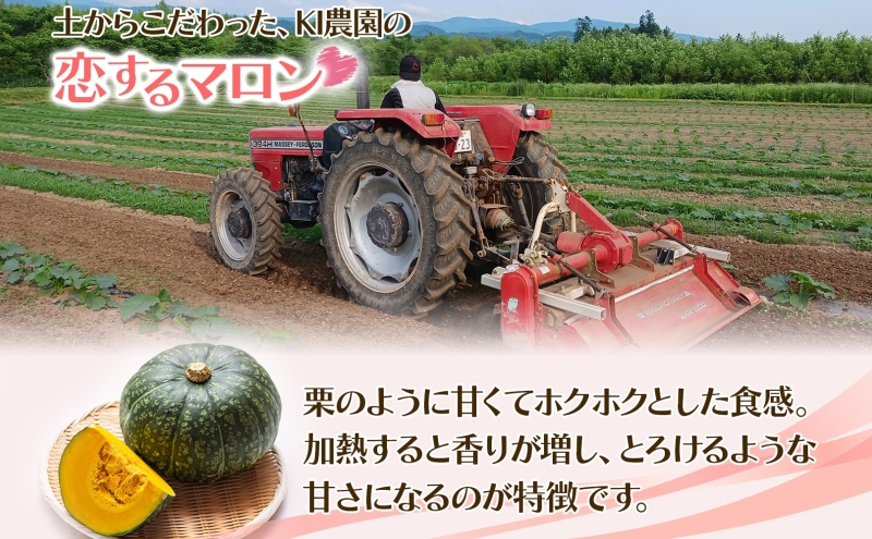 冷凍 カットかぼちゃ とろける甘さの 「恋するマロン」 3kg 500g×6袋 カボチャ 南瓜 小分け 便利 国産 野菜 一人暮らし お弁当 備蓄 カット済み スイーツ シチュー スープ パイ コロッケ 産地直送 北海道 美深町