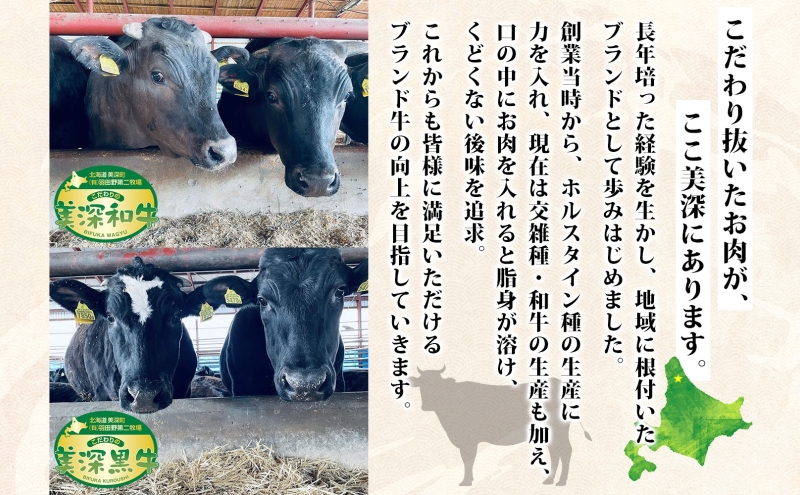 黒牛 ロース すき焼き 500ｇ こだわりの美深黒牛 お肉 牛肉 霜降り スライス 旨み グルメ お取り寄せ ギフト 贈り物 肉のはたの 美深町 北海道