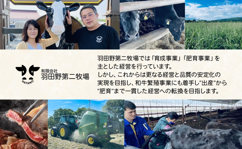 黒牛 ロース すき焼き 500ｇ こだわりの美深黒牛 お肉 牛肉 霜降り スライス 旨み グルメ お取り寄せ ギフト 贈り物 肉のはたの 美深町 北海道