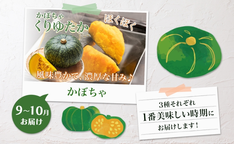 年3回定期便 2026年発送 美深の旬の野菜セット ホワイトアスパラ フルーツトマト トマト カボチャ かぼちゃ くりゆたか 秀品 産地直送 野菜 旬 食材 アレンジ 旬の野菜 みずみずしい フレッシュ お取り寄せ 北海道 美深町