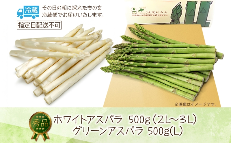 秀品 アスパラセット 計1kg ホワイトアスパラ 2L 3L グリーンアスパラ 各500g アスパラ アスパラガス 野菜 新鮮 旬の野菜 朝採れ フレッシュ 野菜 お取り寄せ グルメ 甘い 春 春野菜 送料無料 北海道産 美深町
