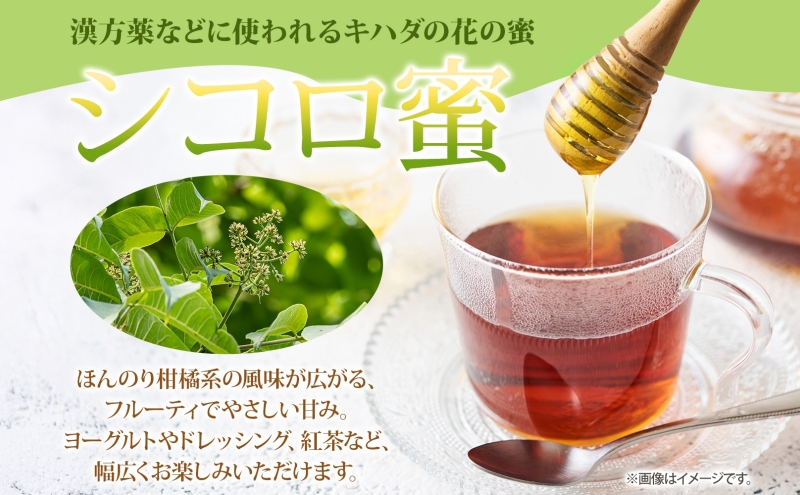 蛹玲オキ驕 鄒取キア逕」 縺ッ縺。縺ソ縺、 3遞ョ 縺昴ー縺ッ縺。縺ソ縺、 闖ゥ謠先ィケ縺ッ縺。縺ソ縺、 繧キ繧ウ繝ュ縺ッ縺。縺ソ縺、 蜷50g 阨朱コヲ縺ッ縺。縺ソ縺、 繧ス繝舌ッ縺。縺ソ縺、 闖ゥ謠先ィケ陷 闖ゥ謠先ィケ陷り惧 繧キ繧ウ繝ュ縺ッ縺。縺ソ縺、 繧キ繧ウ繝ュ陷 蝗ス逕」 逕溘ッ縺。縺ソ縺、 辟。豼セ驕 髱槫刈辭ア 辟。蜉邉 驩蛻 繝昴Μ繝輔ぉ繝弱シ繝ォ 縺雁叙繧雁ッ縺 騾∵侭辟。譁