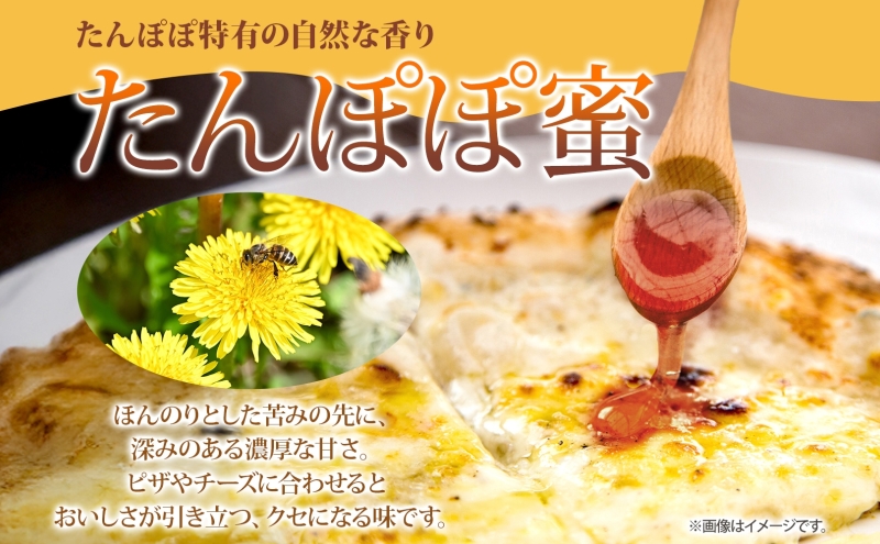 北海道 美深産 はちみつ 2種 たんぽぽはちみつ 菩提樹はちみつ 各150g タンポポ蜜 タンポポ タンポポ蜂蜜 菩提樹ハチミツ 生 シナはちみつ シナ蜜 国産 生はちみつ 無濾過 非加熱 無加糖 ポリフェノール お取り寄せ 送料無料 北海道産