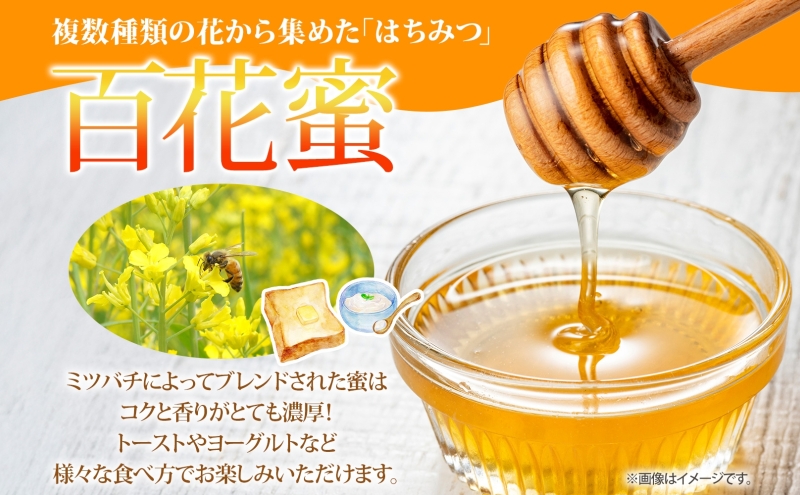 蛹玲オキ驕 鄒取キア逕」 縺ッ縺。縺ソ縺、 3遞ョ 縺昴ー縺ッ縺。縺ソ縺、 逋セ闃ア縺ッ縺。縺ソ縺、 縺ゅ*縺ソ縺ッ縺。縺ソ縺、 蜷50g 阨朱コヲ陷 阨朱コヲ縺ッ縺。縺ソ縺、 繧ス繝舌ッ縺。縺ソ縺、 逋セ闃ア陷 逋セ闃ア陷り惧 繧「繧カ繝溘ッ縺。縺ソ縺、 繧「繧カ繝溯惧 蝗ス逕」 逕溘ッ縺。縺ソ縺、 辟。豼セ驕 髱槫刈辭ア 辟。蜉邉 驩蛻 繝昴Μ繝輔ぉ繝弱シ繝ォ 縺雁叙繧雁ッ縺 騾∵侭辟。譁