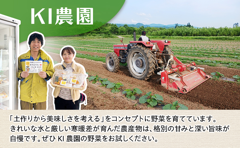 冷凍カットかぼちゃ「くりゆたか」 5kg(500g×10袋) カボチャ 南瓜 小分け 便利 国産 野菜  甘い お弁当 備蓄 カット済み スイーツ シチュー スープ パイ コロッケ 産地直送 北海道 美深町