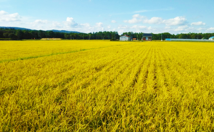ハーブと育った省農薬の特別栽培もち米「風の子もち」2kg×2・もち粉200gセット【北海道美深町】長谷川農園