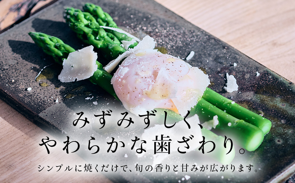 スロウ（膝掛け）ライトグレー　1枚