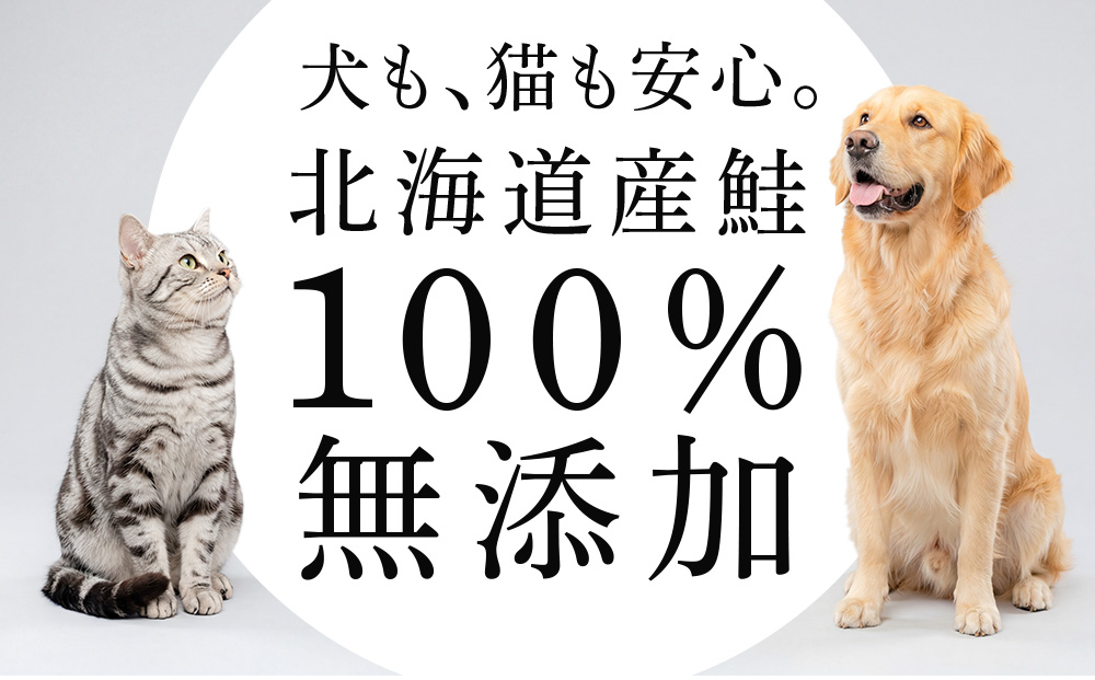 繝壹ャ繝育畑 繧キ繝」繧ア繧ク繝」繝シ繧ュ繝シ 縲 譽ョ鬲 繝「繝ェ繧ェ 縲