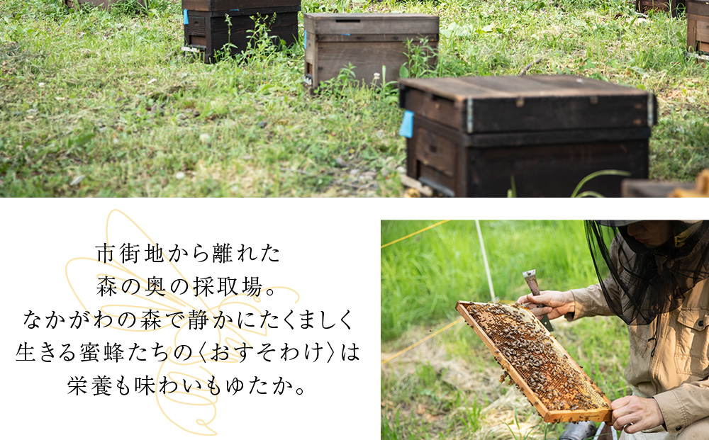北海道中川町産はちみつ2種セット　各種125g（シナ、アザミ、キハダ、百花）　KIKORIシリーズ「森蜜」