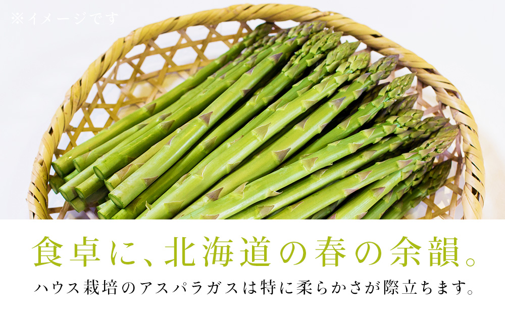 スロウ（膝掛け）ライトグレー　1枚