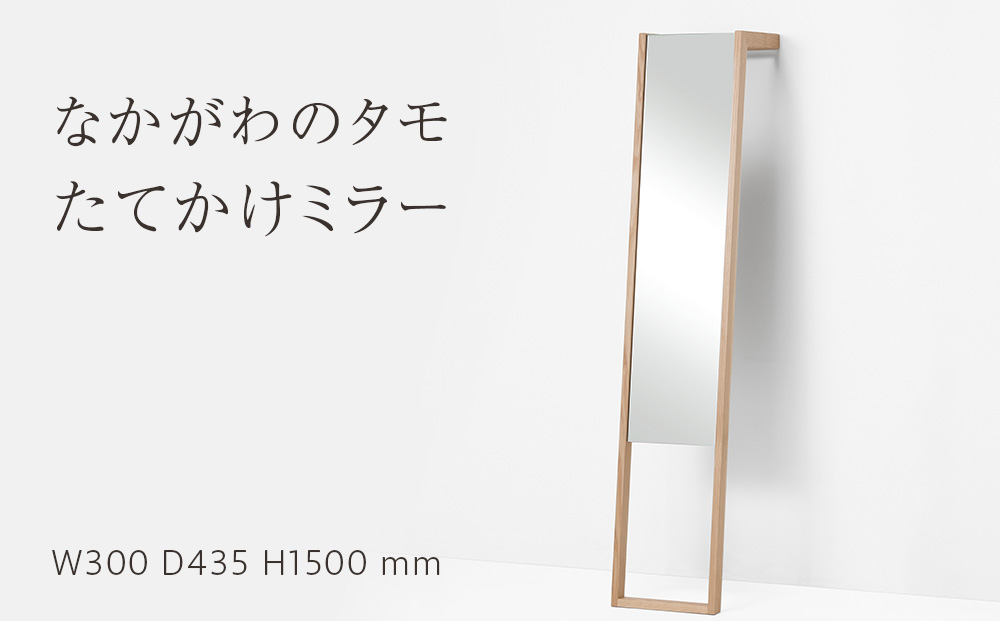 なかがわのタモ　たてかけミラー