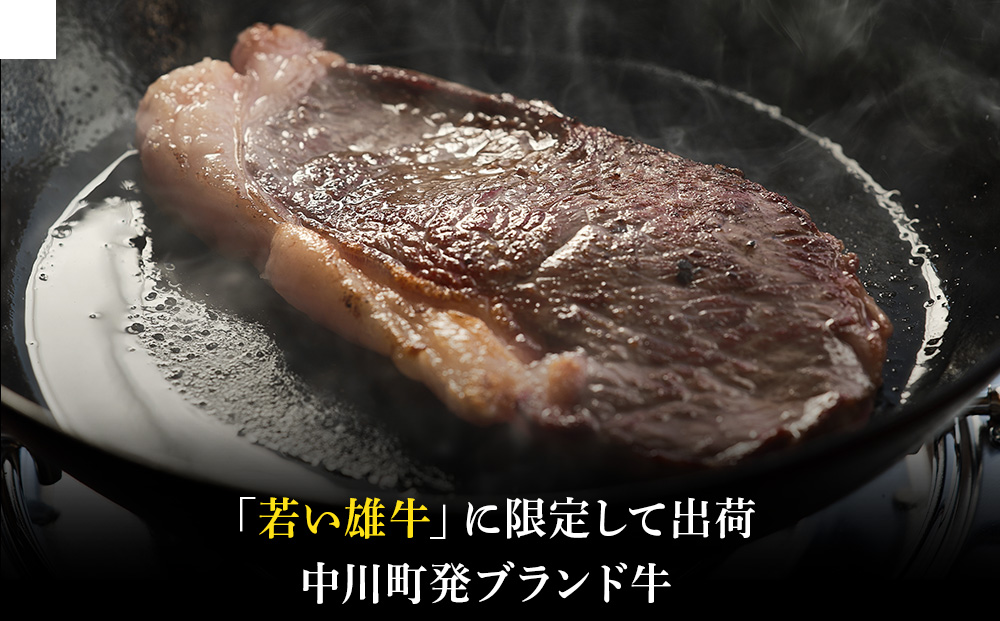 中川町産ナカガワ牛　サーロインステーキ300g 