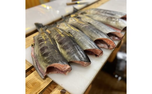 縲仙圏豬キ驕薙代壹ャ繝育畑 繧キ繝」繧ア繧ク繝」繝シ繧ュ繝シ 縲 譽ョ鬲 繝「繝ェ繧ェ 縲懊0620-15縲