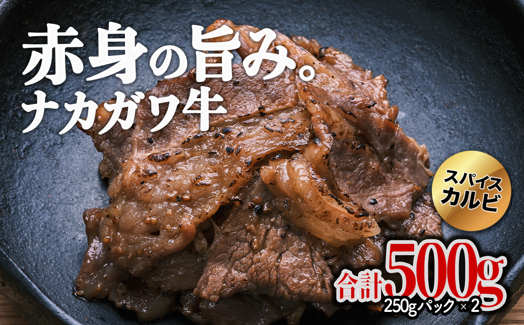 【北海道】中川町産ナカガワ牛　味付きカルビ500g （焼肉用） [E-2002]