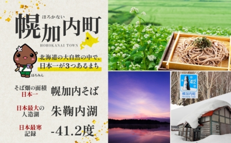 【 ふるさと納税 】 北海道 幌加内そば いいな 200g 9束 蕎麦 お蕎麦 おそば 幌加内蕎麦 和食 麺 6割蕎麦 六割蕎麦 乾麺 簡単調理 名産品 特産品 ざるそば かけそば 備蓄 お取り寄せグルメ 送料無料 北海道 幌加内町