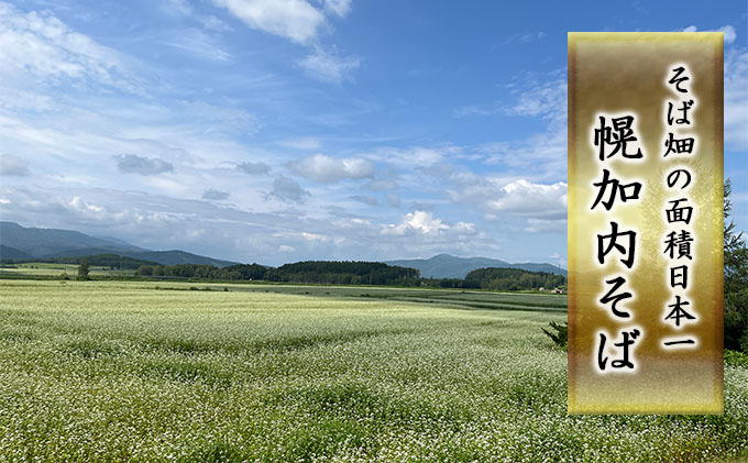  白銀の郷 200g×20束 40人前 十割 そば 北海道 幌加内 蕎麦 乾麺 麺 常温 年越し ソバ 引っ越し 十割そば グルメ 無塩 備蓄 保存食 食塩不使用 国産 グルテンフリー 和食 お取り寄せ ギフト 贈り物 まとめ買い ほろかない 送料無料