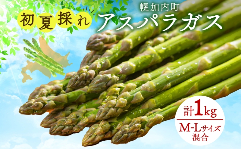 北海道 アスパラガス  約150g×7束 計1kg以上  M-L混合 初夏採れ グリーン アスパラガス 野菜 緑 アスパラ 新鮮 旬 初夏 国産 甘い 小分け お取り寄せ 産地直送 蔵前農園 送料無料