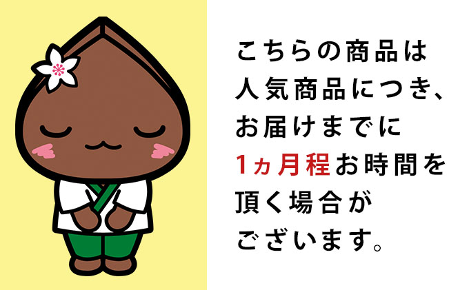 北海道 幌加内 高級そば3種セット 各200g×1束 計6人前 十割そば 白銀の郷 九割そば 満月の華 八割そば 朝霞の丘 蕎麦 乾麺 麺 常温 ソバ 北海道 グルメ 無塩 備蓄 無添加 食塩不使用 国産 お取り寄せ ギフト 人気 ほろかない 送料無料