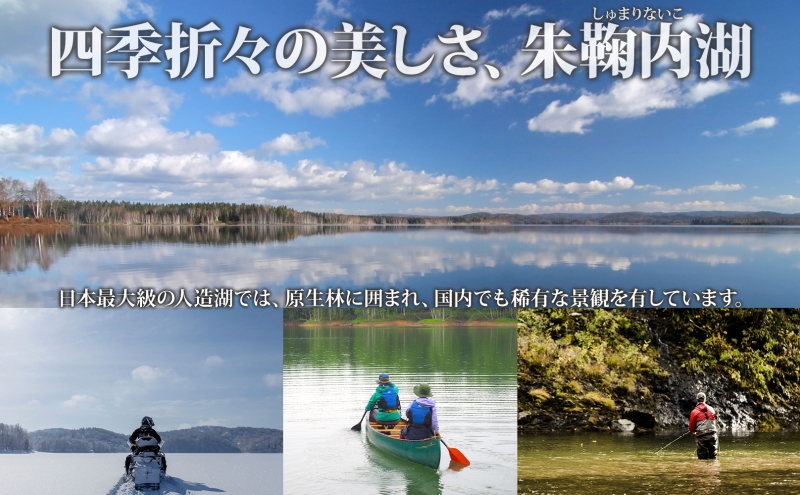 北海道朱鞠内 特典付 イトウ釣り 1週間チケット レストラン 利用券 朱鞠内湖 イトウ レア 魚釣り 北海道旅行 アウトドアキャンプ 自然散策 大自然 釣り初心者 湖畔 釣り旅行 釣りの聖地 体験 送料無料 北海道 幌加内町