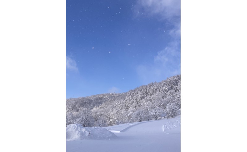 ほろたちスキー場 回数券 11回券 スキー場 リフト券 パウダースノー 雪山 ウィンタースポーツ アクティビティ ゲレンデ レジャー チケット 体験 旅行 観光 アウトドア 送料無料 北海道 幌加内町