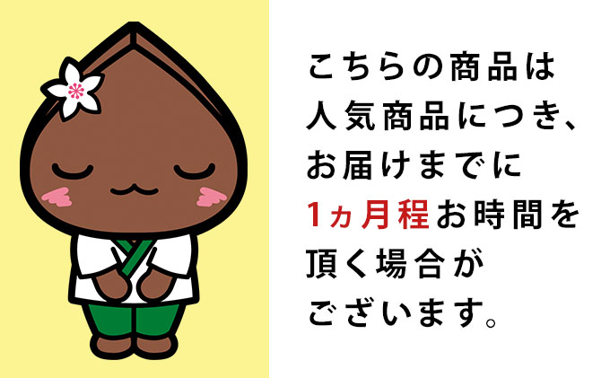  白銀の郷 200g×20束 40人前 十割 そば 北海道 幌加内 蕎麦 乾麺 麺 常温 年越し ソバ 引っ越し 十割そば グルメ 無塩 備蓄 保存食 食塩不使用 国産 グルテンフリー 和食 お取り寄せ ギフト 贈り物 まとめ買い ほろかない 送料無料