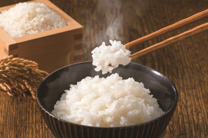 【令和7年産】北海道とままえ産ななつぼし　10kg