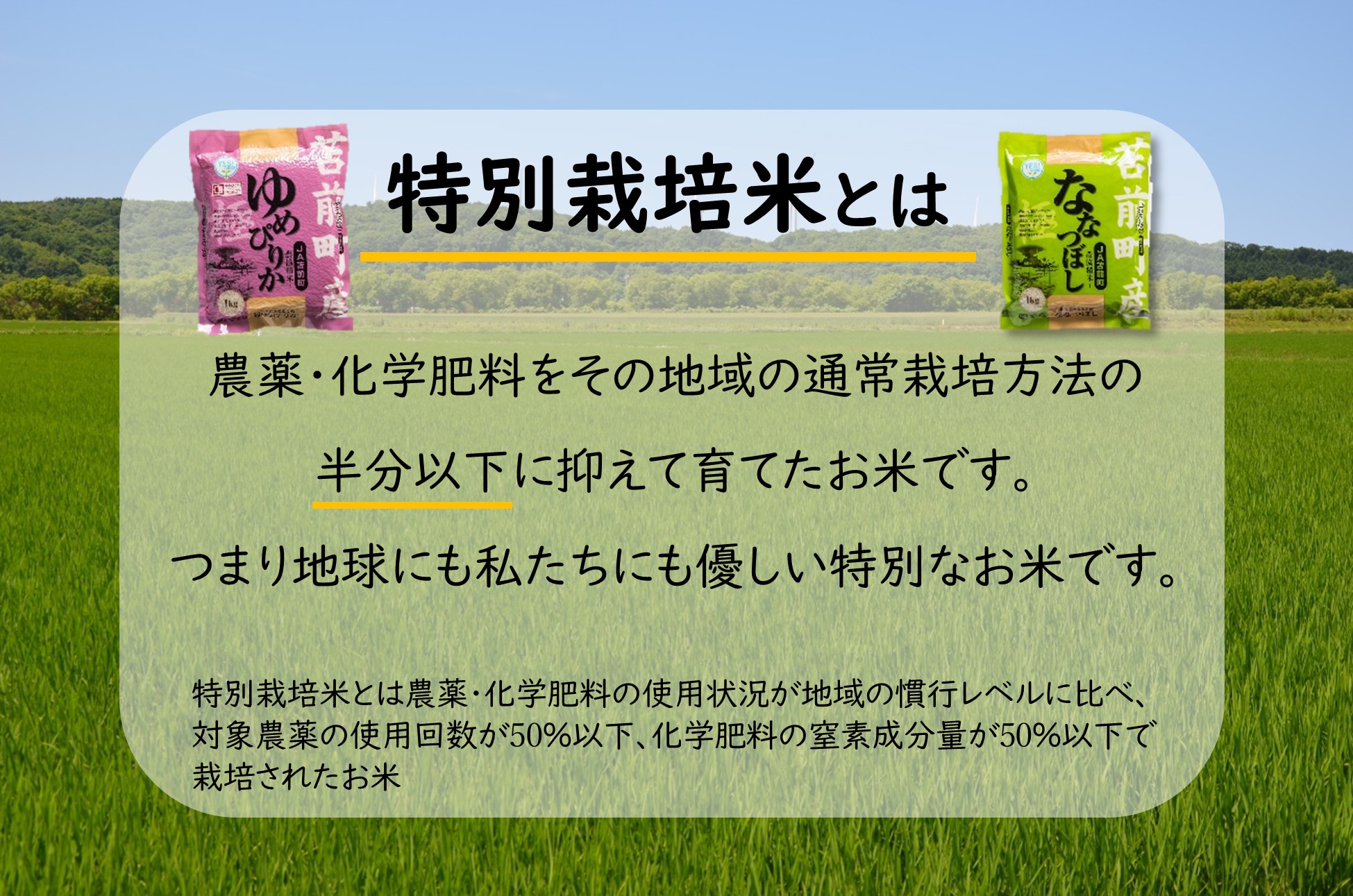 【令和5年産】【特別栽培米】北海道とままえ産ななつぼし　1kg×5