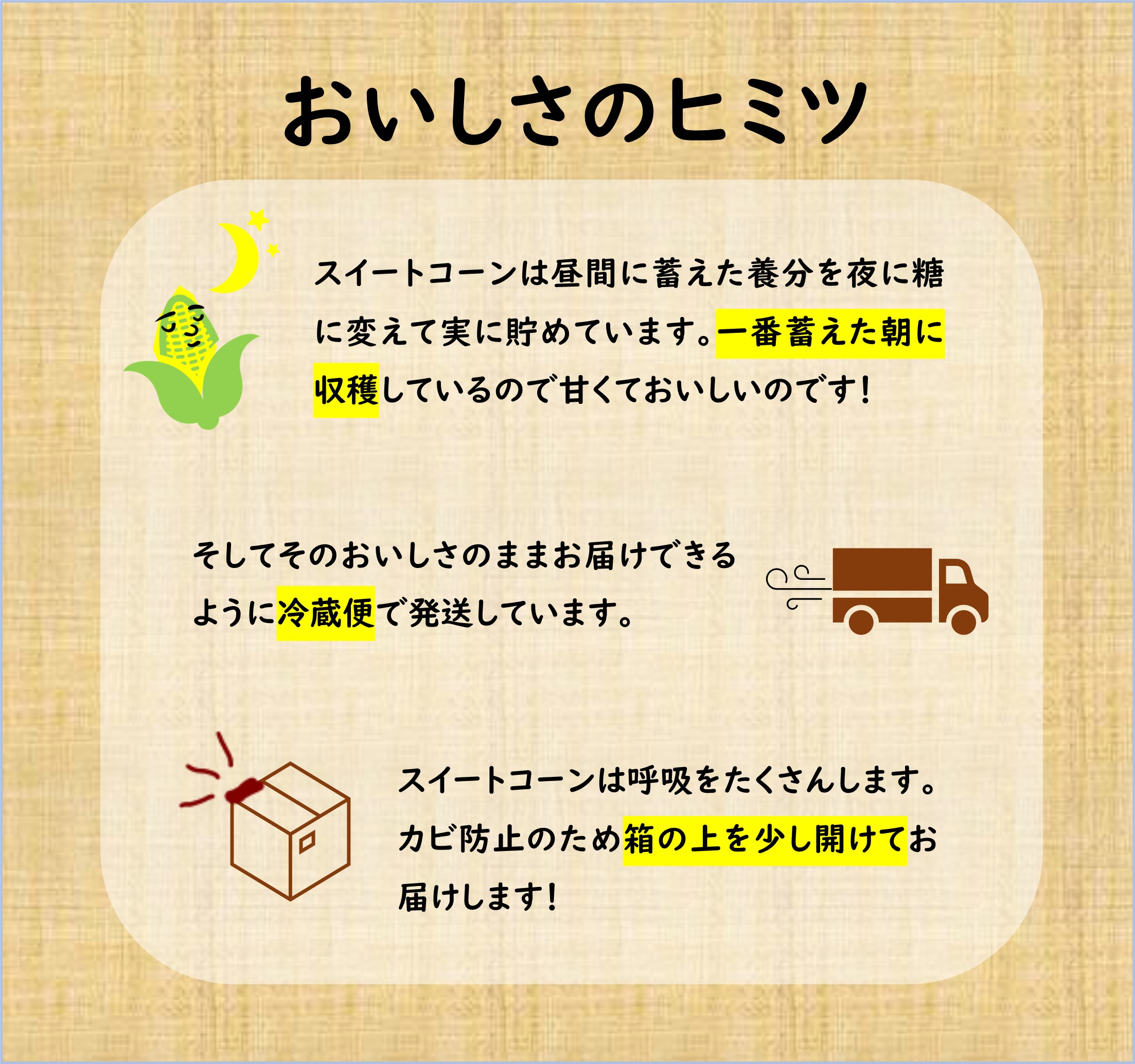 【令和8年産先行受付】北海道とままえ産スイートコーン　約15本 （先行予約　北海道産　とうもろこし　とうきび　朝どれ　朝もぎ　旬　新鮮　送料無料　冷蔵）