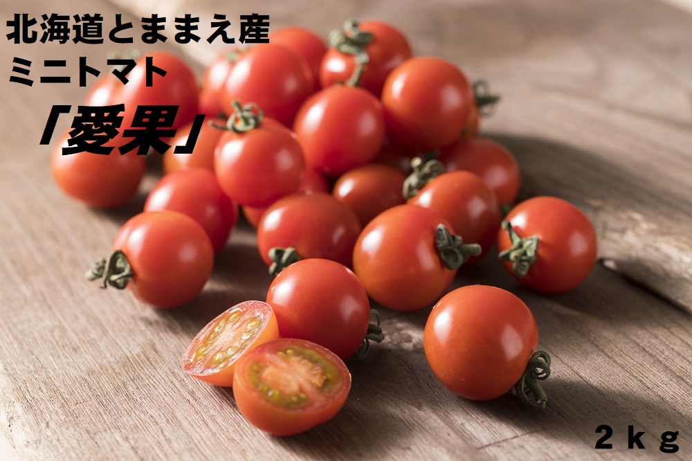 【令和6年産】北海道とままえ産ミニトマト「愛果」2kg