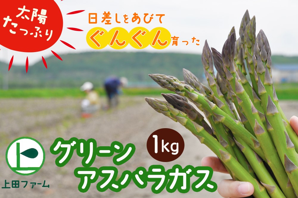 【令和7年産先行受付】上田ファームのグリーンアスパラガス　1kg《数量限定》