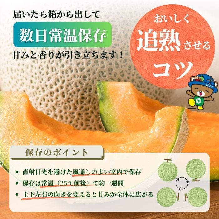 【2026年7月中旬から発送】とままえメロン 2玉 計3.2kg前後 大玉サイズ 北海道産 先行 予約 受付 赤肉 甘い 糖度14度 旬 産地直送 めろん フルーツ 果物 デザート 北海道 苫前町 とままえ rum09