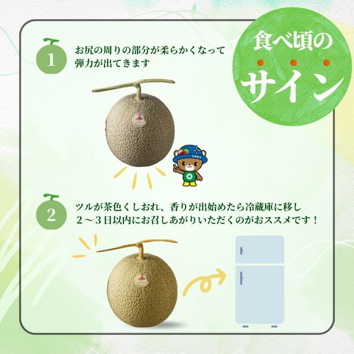 【2026年7月中旬から発送】とままえメロン 2玉 計3.2kg前後 大玉サイズ 北海道産 先行 予約 受付 赤肉 甘い 糖度14度 旬 産地直送 めろん フルーツ 果物 デザート 北海道 苫前町 とままえ rum09