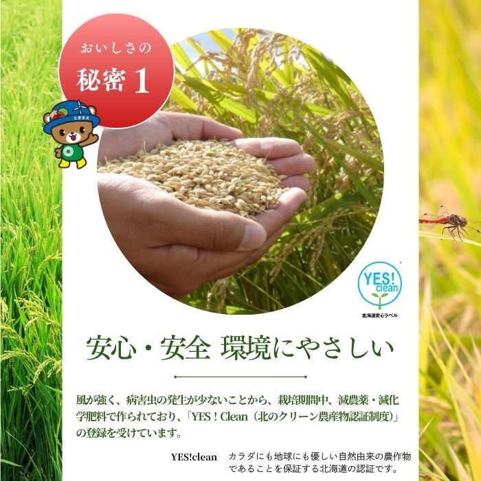 縲蝉サ、蜥8蟷エ逕」 譁ー邀ウ蜈郁。悟女莉倥 蛹玲オキ驕薙→縺セ縺セ縺育肇 縺ェ縺ェ縺、縺シ縺 10kg 邀ウ 縺顔アウ 蛹玲オキ驕鍋肇 蛹玲オキ驕鍋アウ 迚ケA繝ゥ繝ウ繧ッ 蝗ス逕」 逋ス邀ウ 繧ウ繝。 蛹玲オキ驕 闍ォ蜑咲伴 縺ィ縺セ縺セ縺 rum20