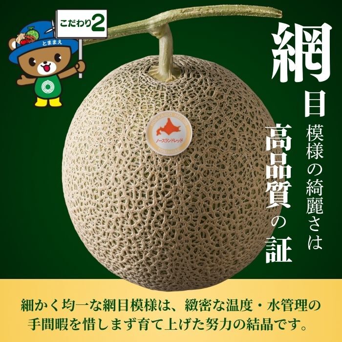 【2026年7月中旬から発送】とままえメロン 1玉 1.6kg前後 大玉サイズ 北海道産 先行 予約 受付 赤肉 甘い 糖度14度 旬 産地直送 めろん フルーツ 果物 デザート 北海道 苫前町 とままえ rum08
