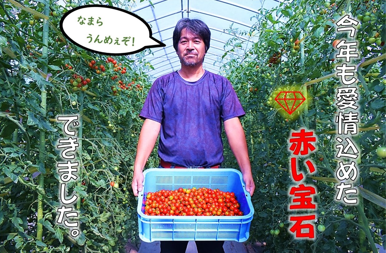 【令和6年産先行受付】北海道とままえ産ミニトマト「愛果」2kg
