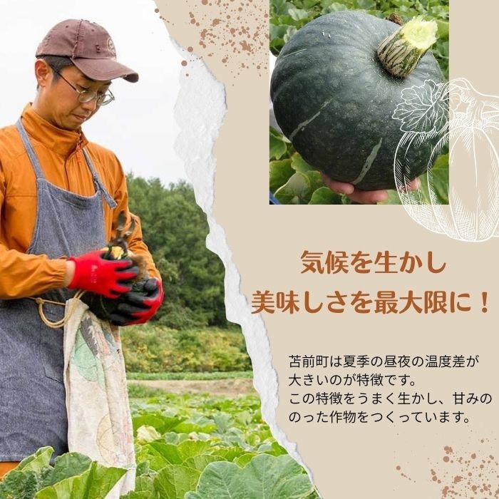 【NHKあさイチで紹介されました！】上田ファームのかぼちゃ団子3種セット（プレーン・チーズin・あんこ）各300g×3 北海道産かぼちゃ使用 カボチャ だんご 国産 手作り おかず おやつ スイーツ 軽食 冷凍 南瓜 郷土料理 北海道 苫前町 とままえ ued01