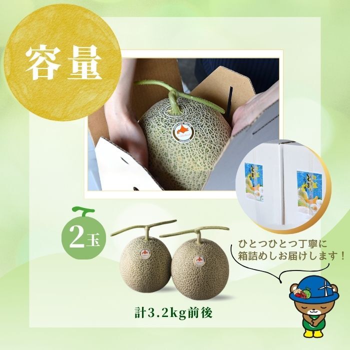 【2026年7月中旬から発送】とままえメロン 2玉 計3.2kg前後 大玉サイズ 北海道産 先行 予約 受付 赤肉 甘い 糖度14度 旬 産地直送 めろん フルーツ 果物 デザート 北海道 苫前町 とままえ rum09