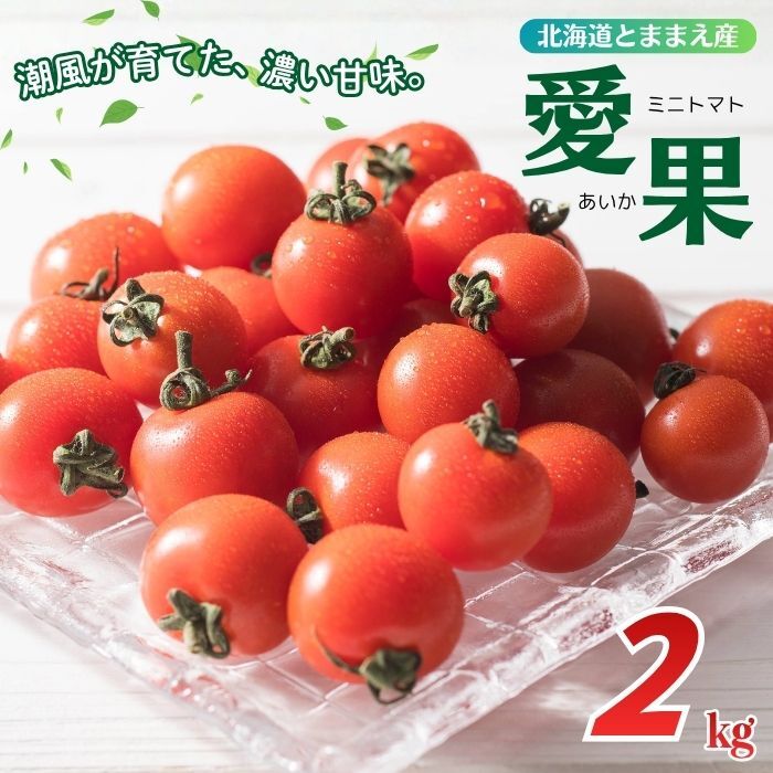 【2026年7月上旬から発送】北海道とままえ産 ミニトマト「愛果（あいか）」2kg トマト とまと 北海道産 先行 予約 受付 甘い 旬 産地直送 野菜 北海道 苫前町 とままえ rum13