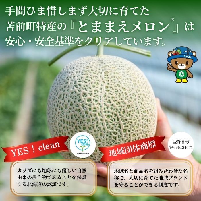 【2026年7月中旬から発送】とままえメロン 1玉 1.6kg前後 大玉サイズ 北海道産 先行 予約 受付 赤肉 甘い 糖度14度 旬 産地直送 めろん フルーツ 果物 デザート 北海道 苫前町 とままえ rum08