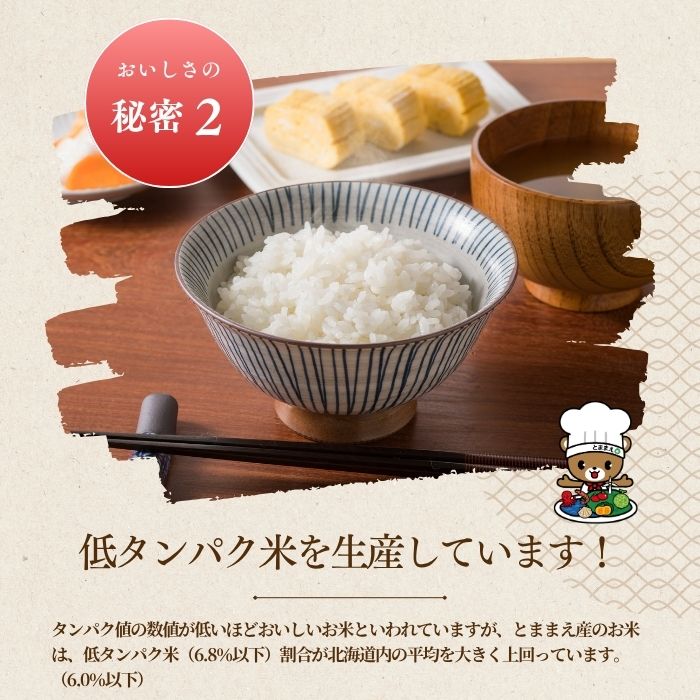 令和7年産 北海道とままえ産 ななつぼし 10kg 米 お米 北海道産 北海道米 特Aランク 国産 白米 コメ 北海道 苫前町 とままえ rum03