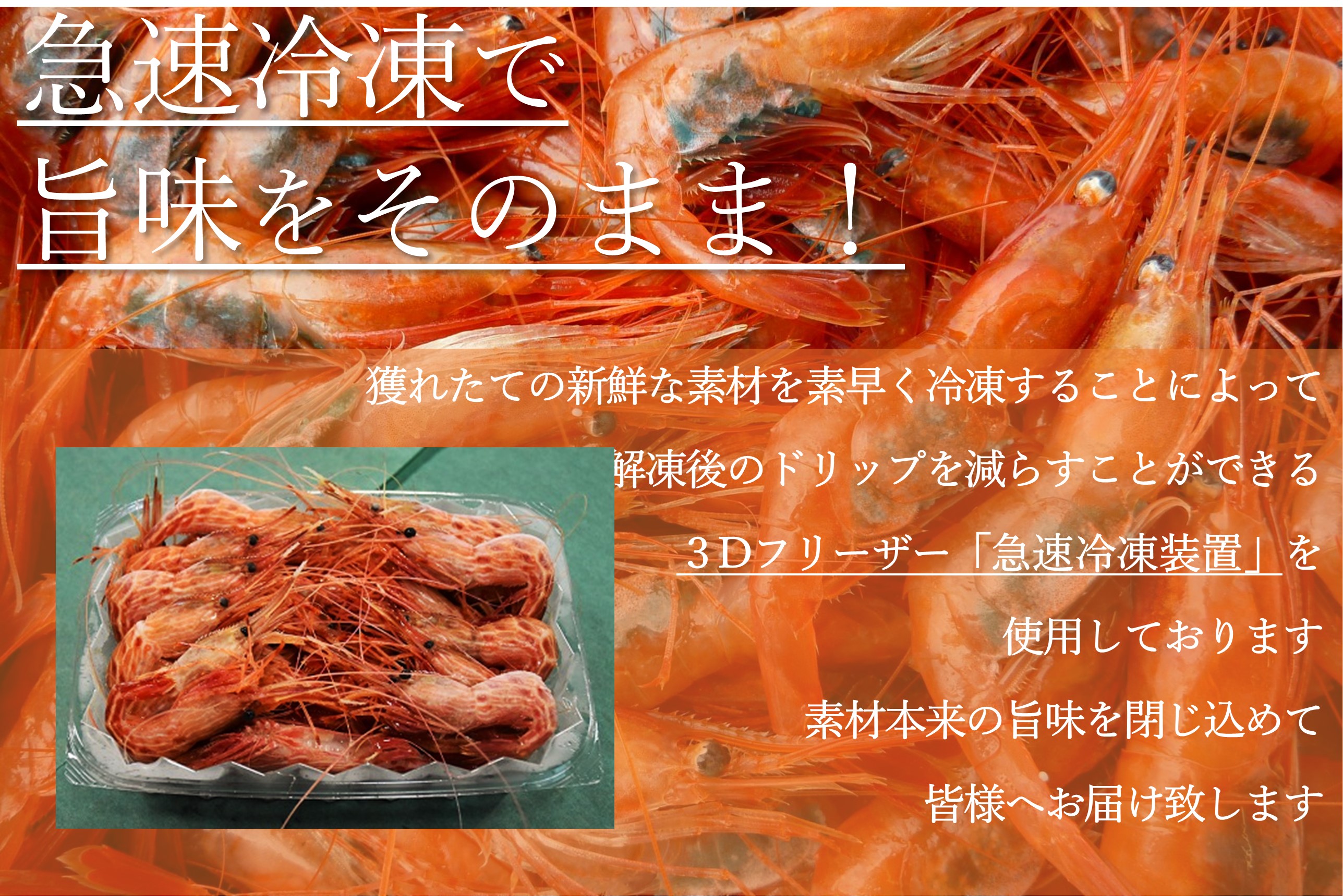 【急速冷凍】北海道苫前産シマエビ　500g×2《数量限定》（えび・海老・ボタン・甘・イバラ・正月・海鮮・魚介類・北海道・刺身・生・ボイル・小分け・３D冷凍）