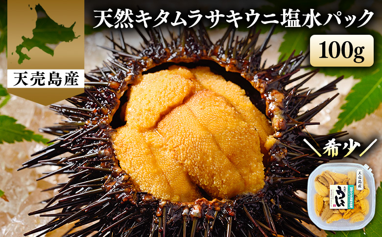 【北海道 天売島産】 天然 キタムラサキうに 塩水パック 100g×1パック | ウニ うに ムラサキウニ 紫うに 天然うに 北海道うに 高級うに 海鮮 海産物 生うに 塩水うに 魚介類 魚介 海の幸 キタムラサキウニ グルメ おつまみ 寿司ネタ 贅沢 お取り寄せ 北海道 羽幌町 羽幌【31001】