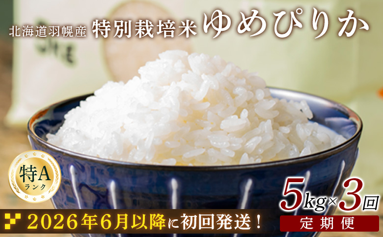 笘シ匁怦莉・髯咲匱騾≫縲2025蟷エ逕」縲 縲仙ョ壽悄萓ソシ3蝗槭 蛹玲オキ驕鍋セス蟷檎肇 迚ケ蛻・譬ス蝓ケ邀ウ 繧繧√エ繧翫°5kg ス 5繧ュ繝ュ 險15kg 險15繧ュ繝ュ 邀ウ 螳壽悄 3蝗 螳牙ソ 螳牙ィ 蛹玲オキ驕鍋アウ 繝ッ繝ウ繧ケ繝医ャ繝 繧ェ繝ウ繝ゥ繧、繝ウ逕ウ隲 縺オ繧九&縺ィ邏咲ィ 蛹玲オキ驕 鄒ス蟷檎伴 鄒ス蟷後0812502縲