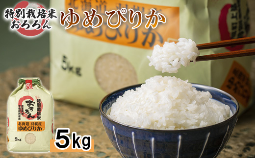 【令和5年産・新米】北海道羽幌産　特別栽培米ゆめぴりか5kg【08116】