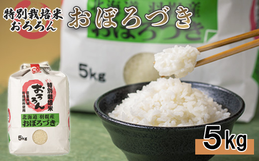 【令和5年産・新米】北海道羽幌産　特別栽培米おぼろづき5kg【08118】