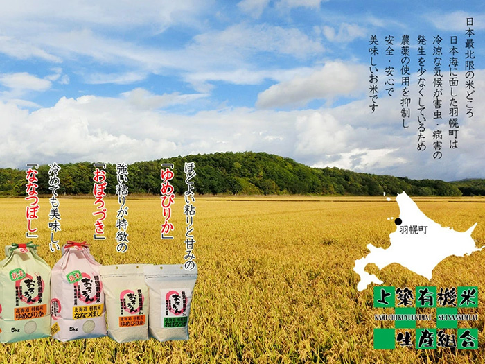 【令和5年産・お米】北海道羽幌産　特別栽培米おぼろづき5kg【08118】