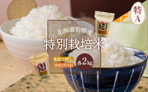 【令和5年産・新米】北海道羽幌産　特別栽培米ゆめぴりか2kg・ななつぼし2kgセット【08117】