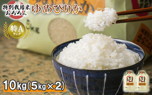 【令和5年産・新米】北海道羽幌産　特別栽培米ゆめぴりか10kg（5kg×2セット）【08123】